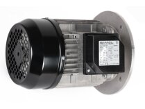 Riello electric motor, 3014206R