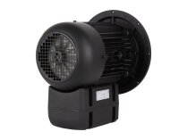 Weishaupt WM-D112/140-2/3K5 electric motor, 21520407300