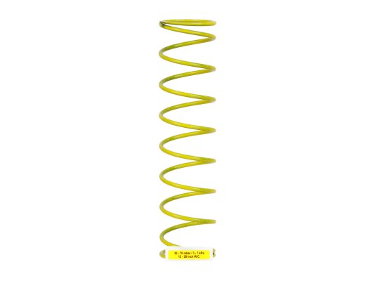 Weishaupt DN 50 / Rp 2" Spring, 490131