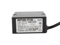 Brahma TD2LTCS 15911303 Ignition Transformer