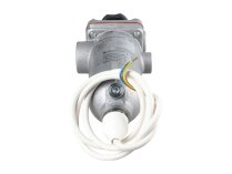 Heated Fuel Filter Giuliani Anello 2100503RE