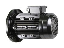 Ecoflam 6XM 100L2 electric motor, 3 kW, 65312555
