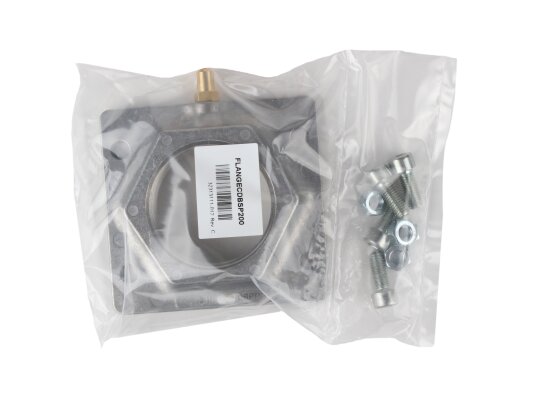 Honeywell Gas Valve Flange FLANGECDBSP200