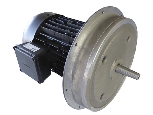 Weishaupt W-D132/210-2/14K electric motor