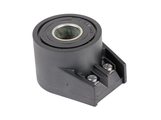 Weishaupt electromagnetic coil 483824T1, art: 604553