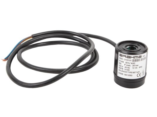 Electromagnetic coil Brahma 65323763