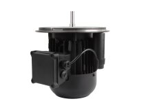 Weishaupt EC90/90-2/1 electric motor