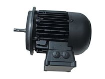 Weishaupt W-D160/240-2/16K0 21871307010 Motor Alt. Art: We21871307010, We2187130701-0.