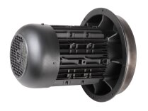 Weishaupt W-D132/210-2/10K0 electric motor
