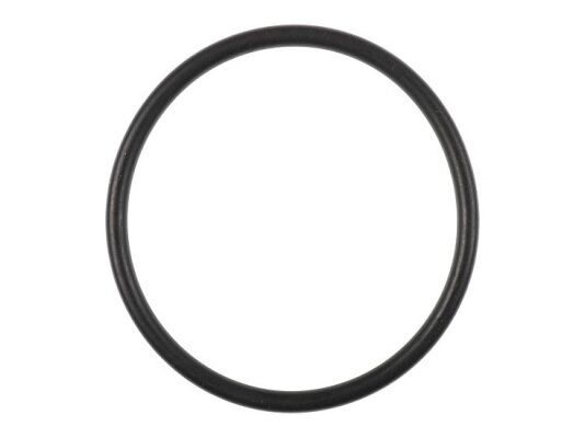 Weishaupt sealing ring 45 x 3 mm, art: 445518.