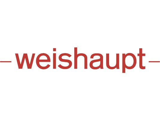 Weishaupt adjusting washer 499285