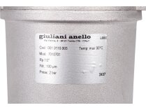 Giuliani Anello 7010701 fuel filter