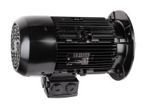 Elco electric motor, 65314873