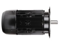 Elco electric motor, 65314873