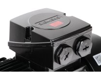 Elco electric motor, 65314873