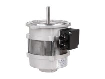 Riello RH 135 electric motor, 3006612