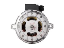 Riello RH 135 electric motor, 3006612