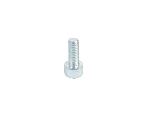 Weishaupt screw M5 x 12 mm, art: 402207.