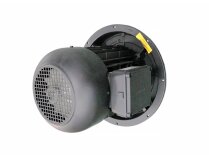 Weishaupt W-D160/240-2/22K0 electric motor, art: 21871507030.
