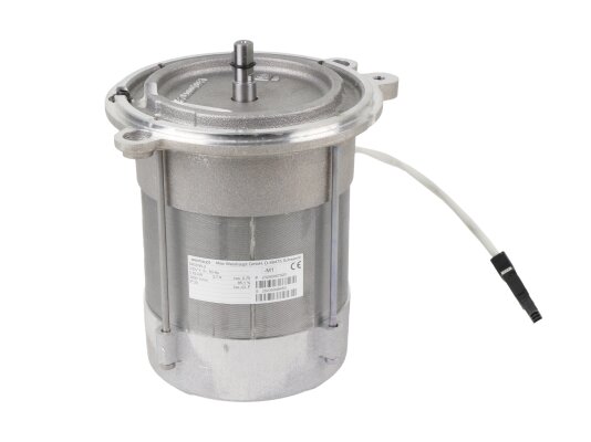 Weishaupt DK06/A-2 electric motor