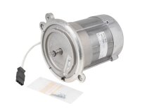 Weishaupt DK06/A-2 electric motor