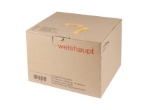 Weishaupt DK06/A-2 electric motor