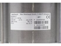 Weishaupt DK06/A-2 electric motor