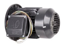 CIB Unigas 1.1 kW electric motor, 218100301