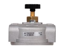 Giuliani Anello 70351/01A liquid fuel filter